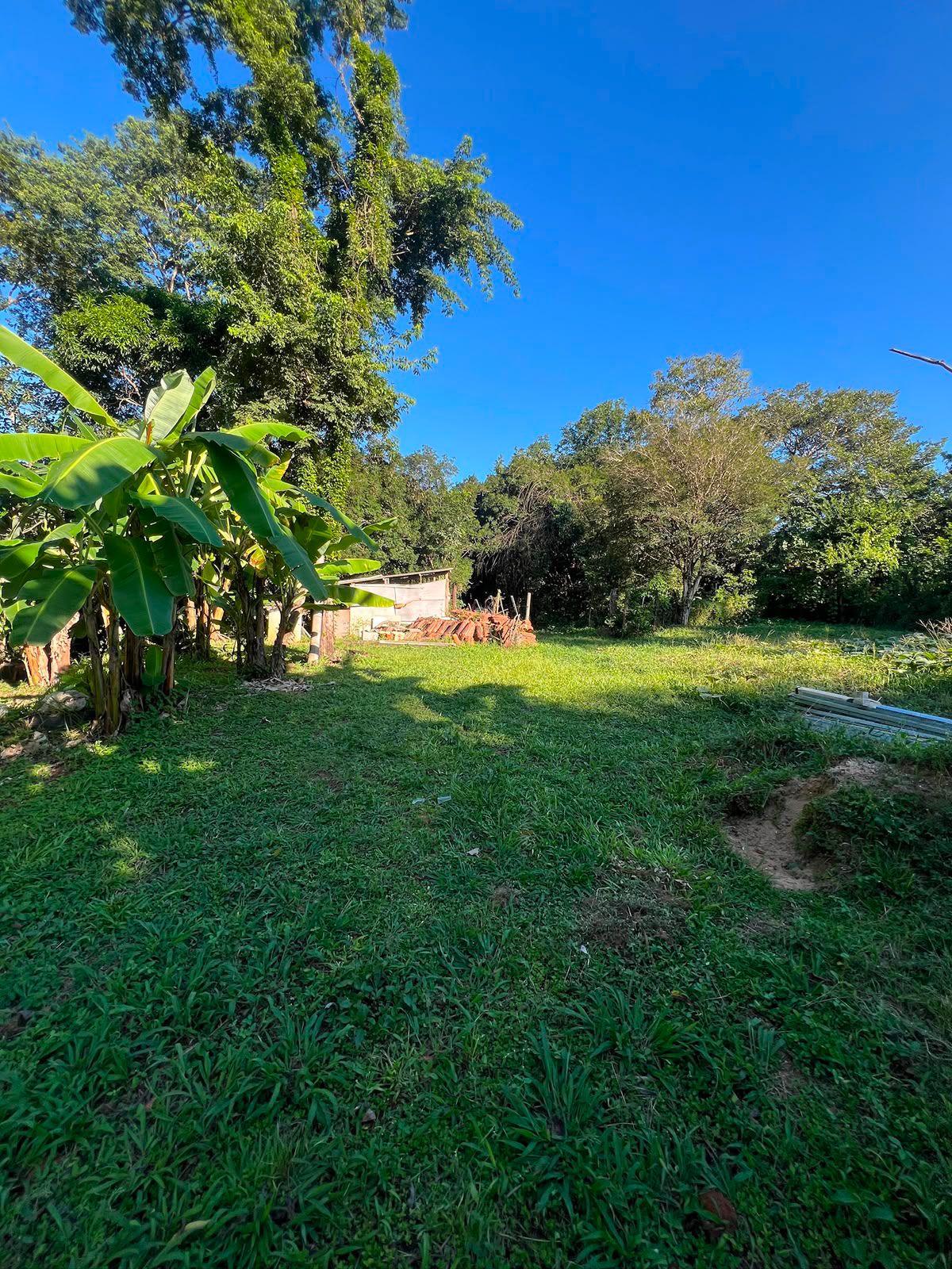 Chácara dentro da cidade com Pomar — foto 3