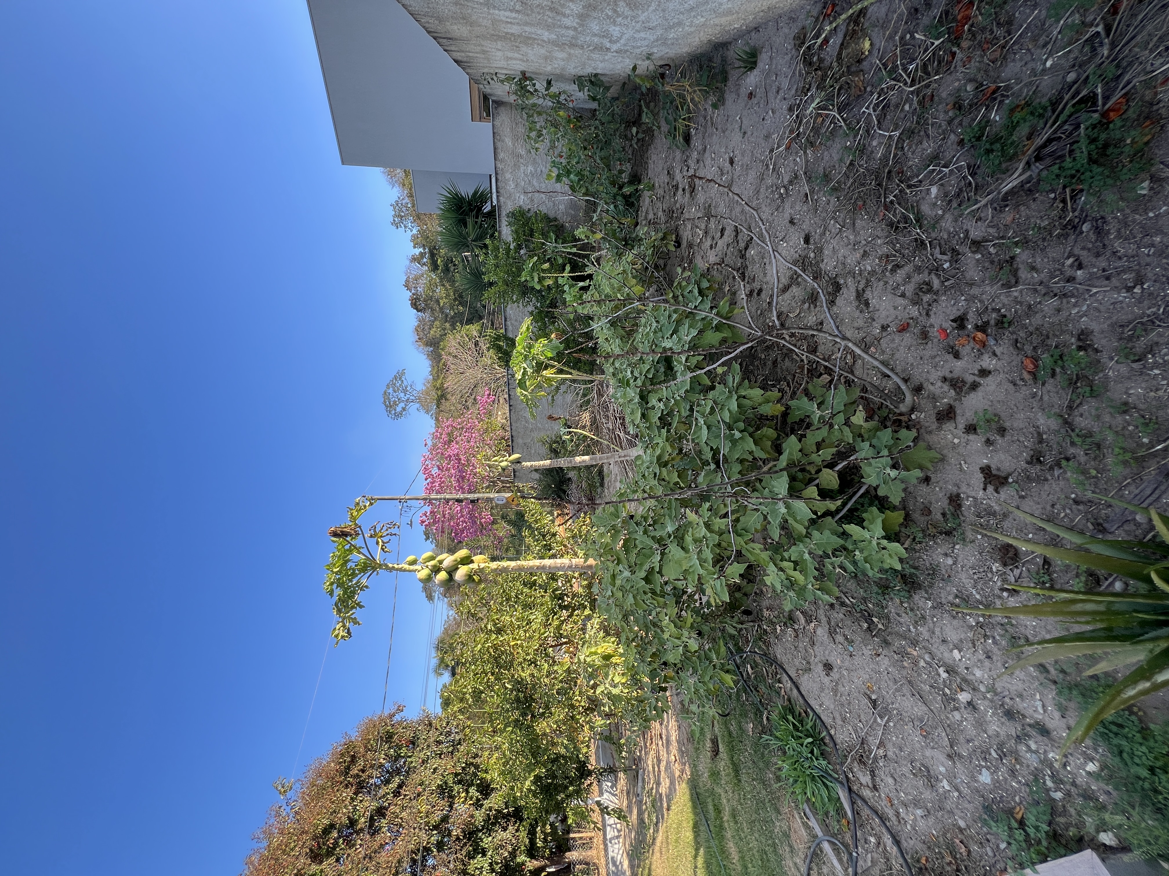 Casa de Alto Padrão com 3 Suítes, Piscina e 1.000 m² no Condomínio Recanto do Luar – Santa Luzia/MG — foto 18