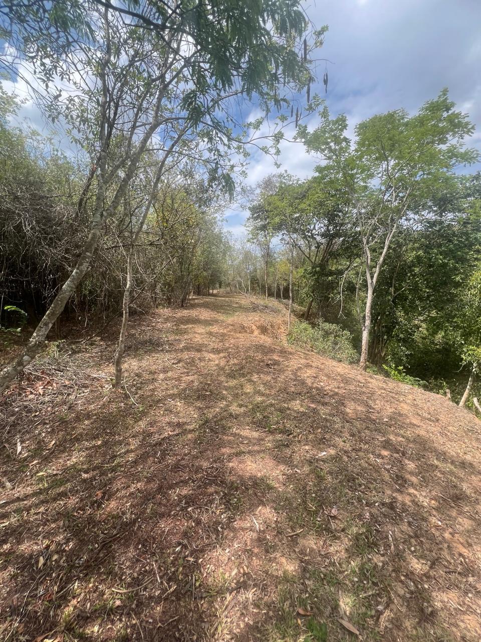 Área Rural de 40.000m² com Córrego — foto 7