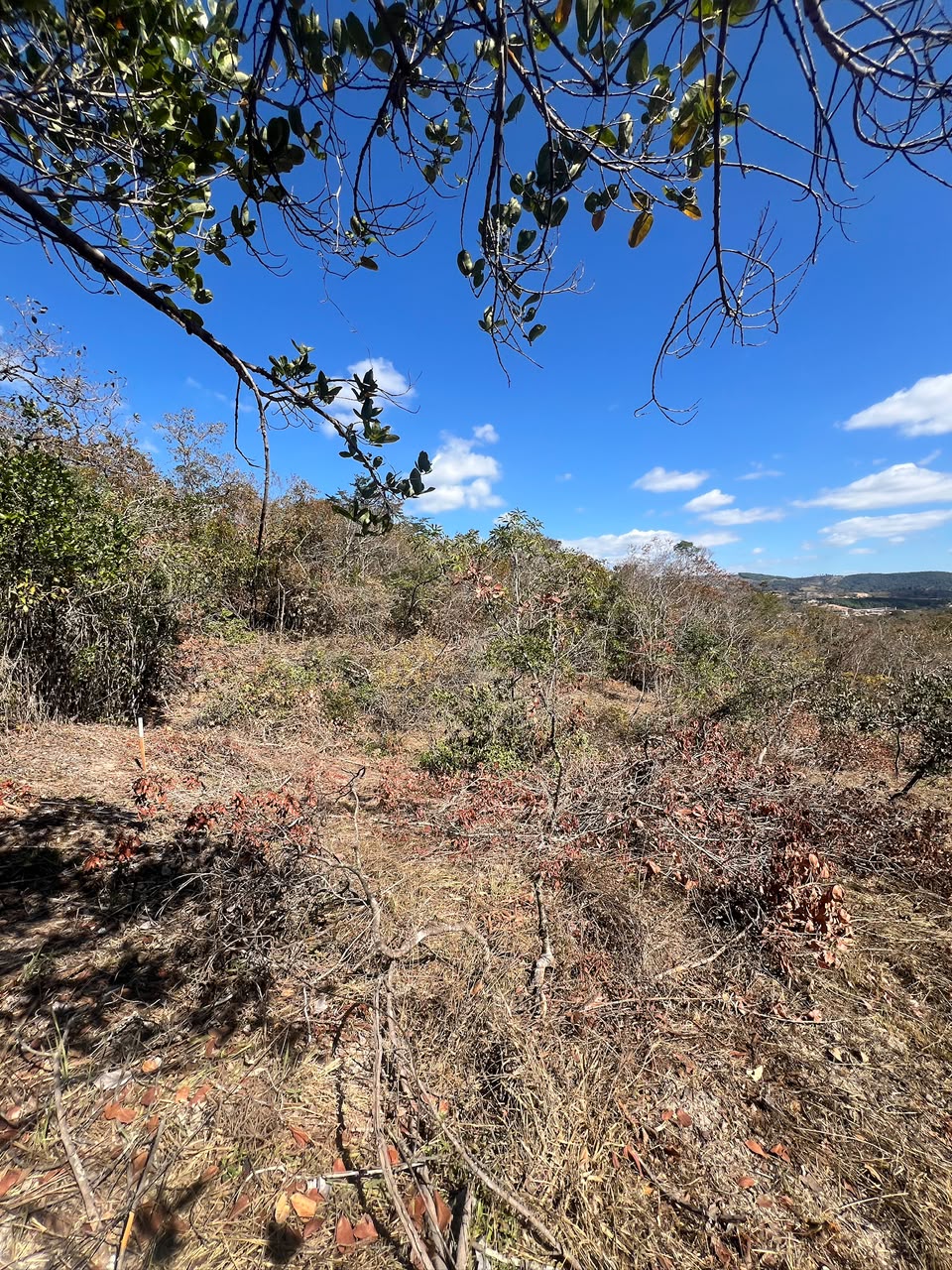 Chácaras Urbanas com Matrícula Individualizada em Taquaraçu de Minas | A partir de R$ 167 mil — foto 7