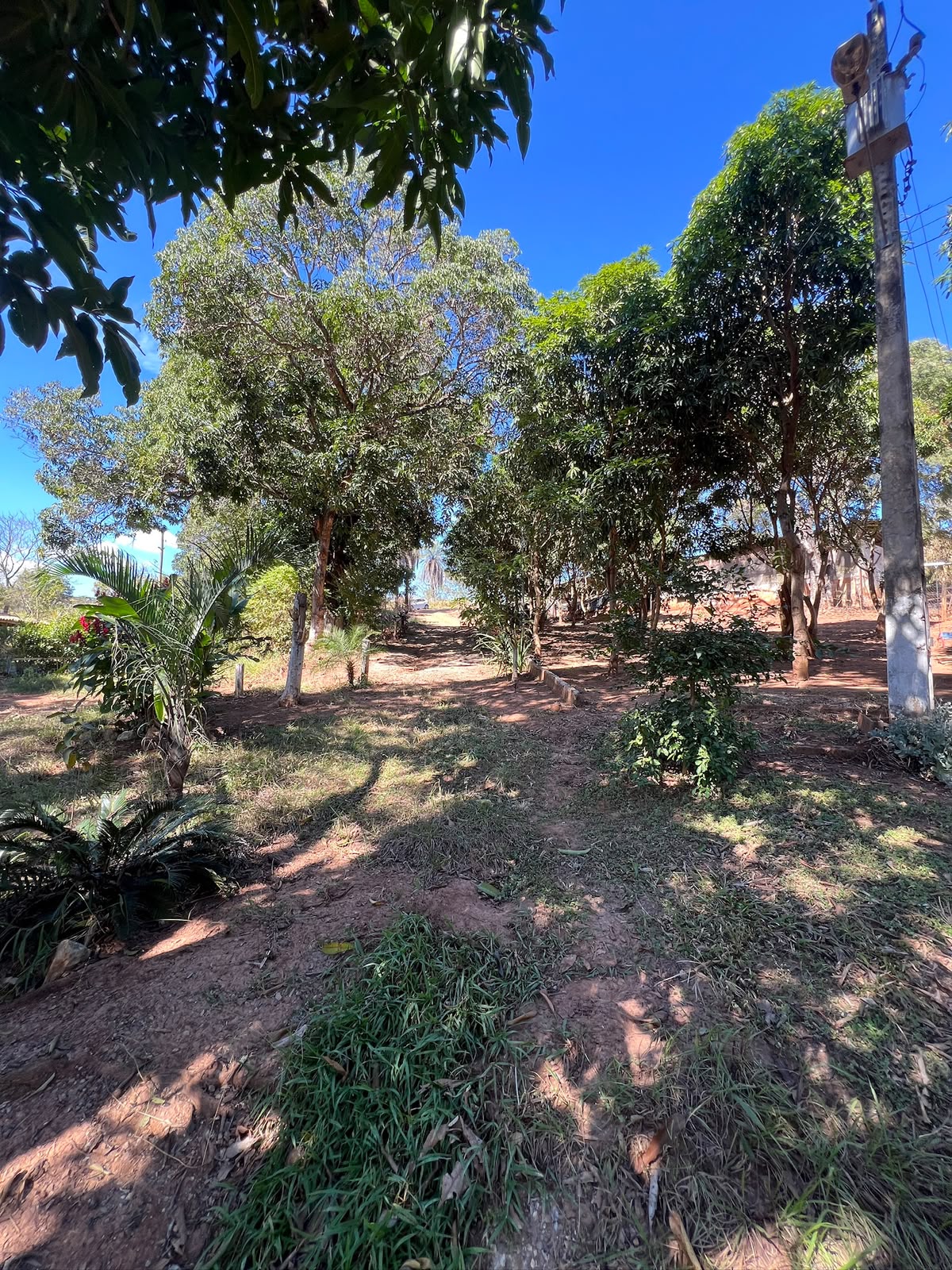 Chácara com 1.700m², Lagoa de Nascente e Vista Definitiva na Comunidade Rural de Água Limpa – Santa Luzia | R$ 380.000 — foto 3