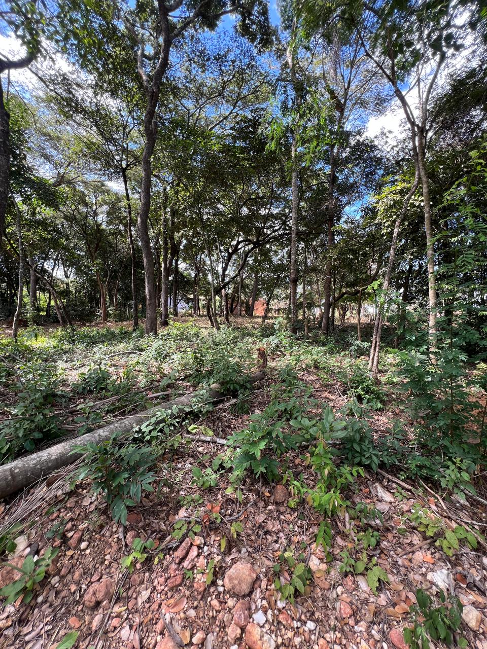 Chácara de 1.150m² à Venda em Boa Vista, Jaboticatubas MG | Terreno de Esquina — foto 5