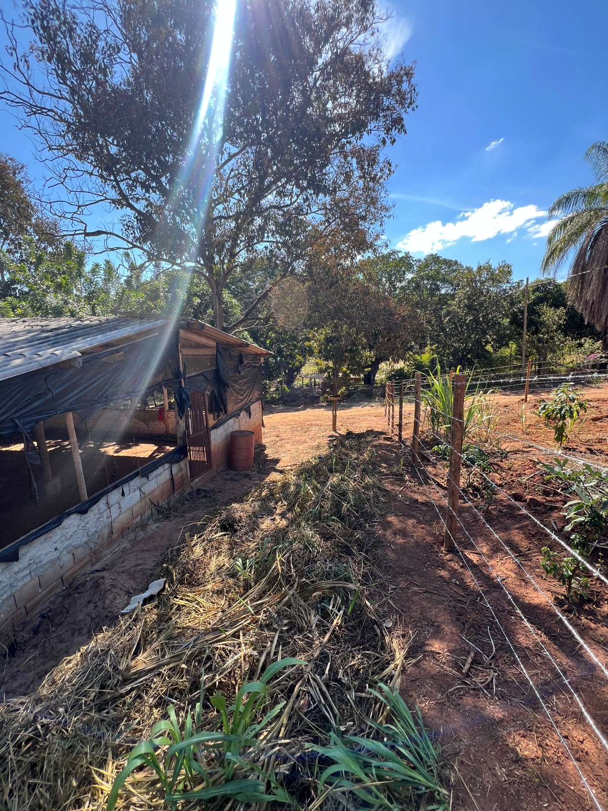Terreno Rural de 1500 com Galpão em Santa Luzia — foto 13