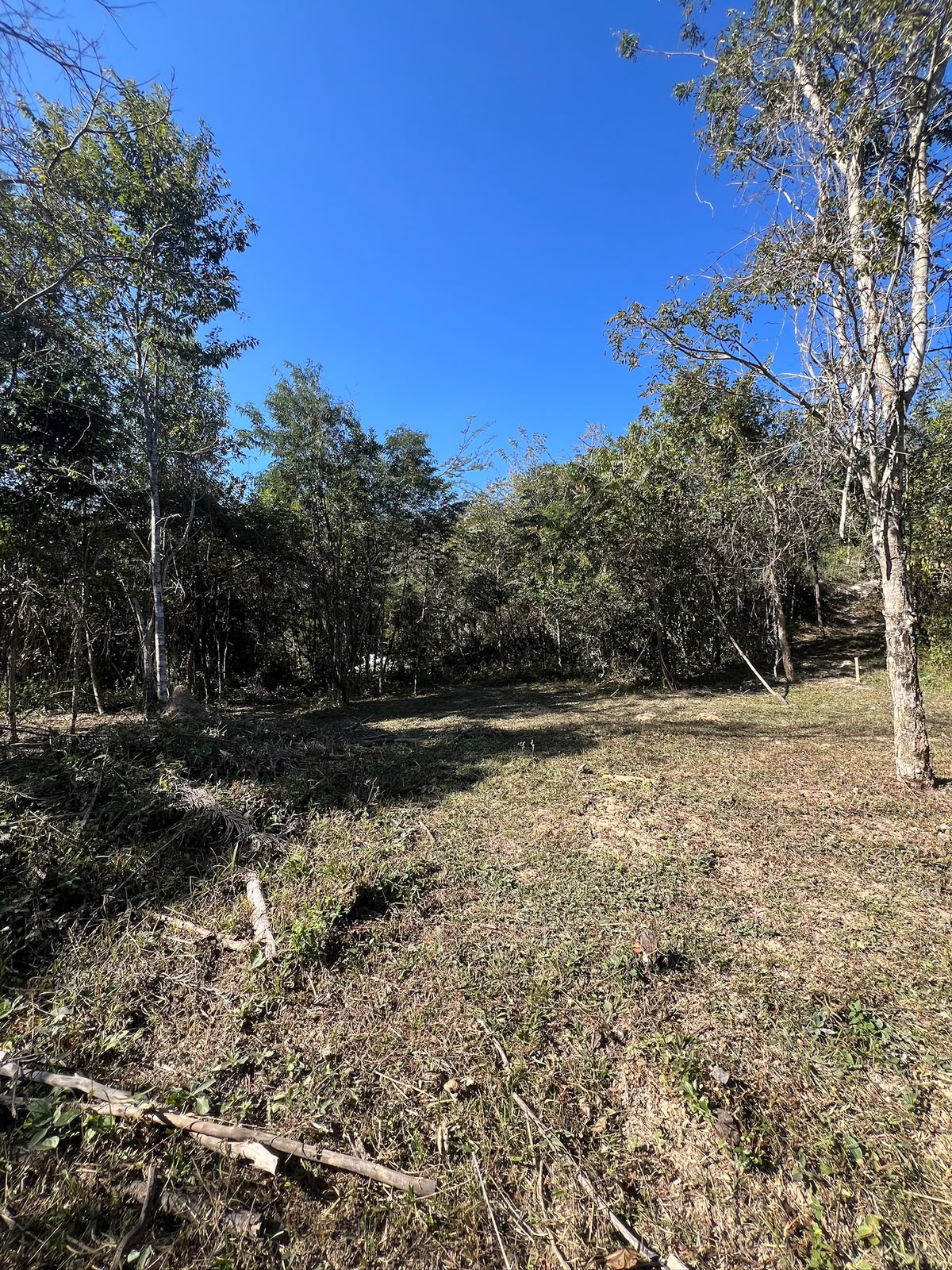 Chácaras a Partir de 3.000m² à Venda em Taquaraçu de Minas | Córrego nos Fundos e Entrada Facilitada — foto 3