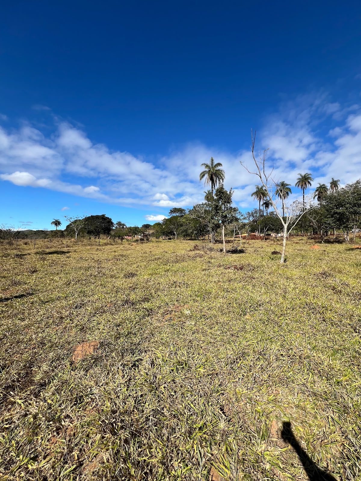 Terreno Rural de 5.000m² à Venda em Jaboticatubas | Excelente Topografia e Fácil Acesso