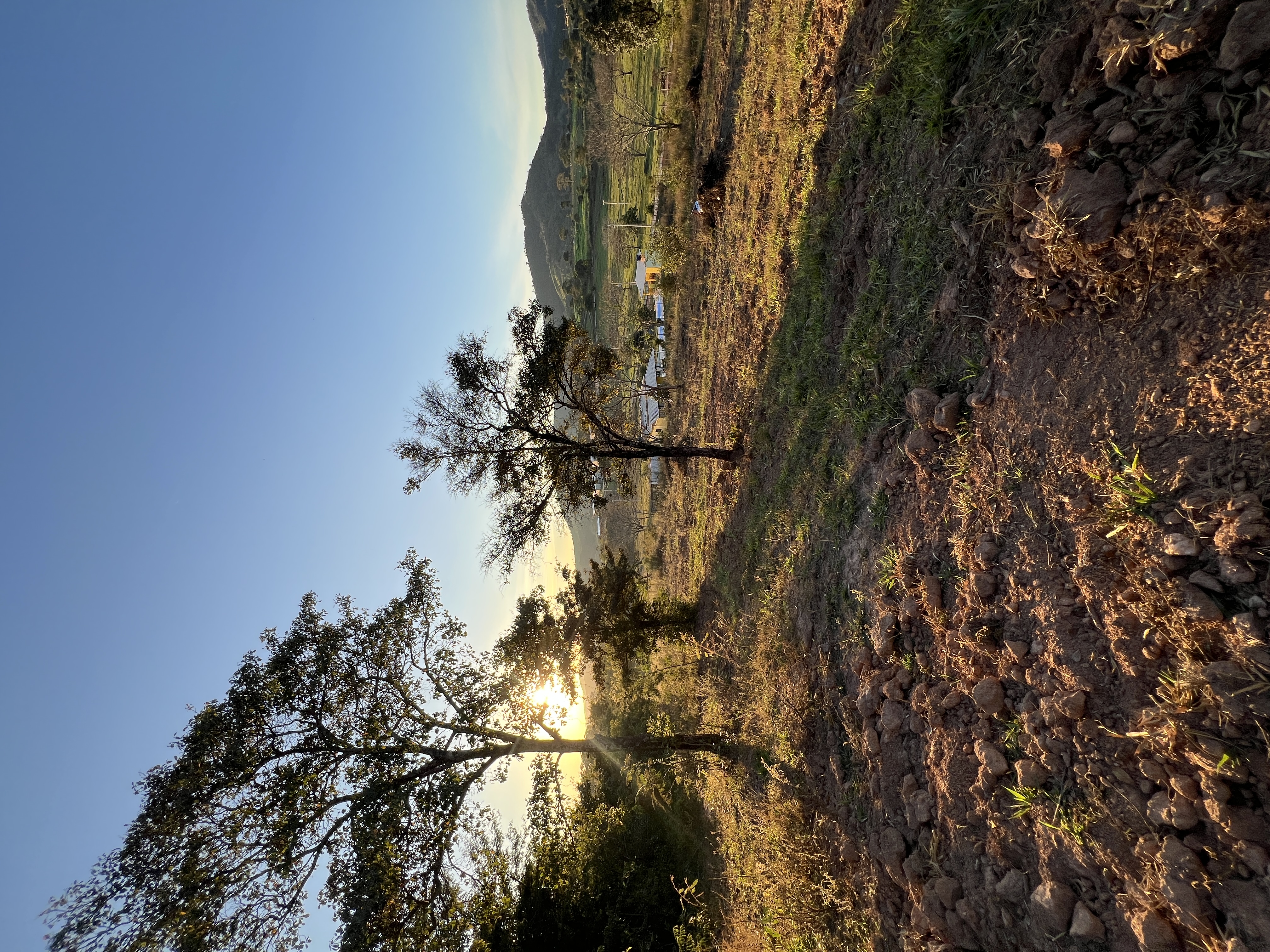 Terreno de 10.000m² Próximo à Rodovia — foto 10