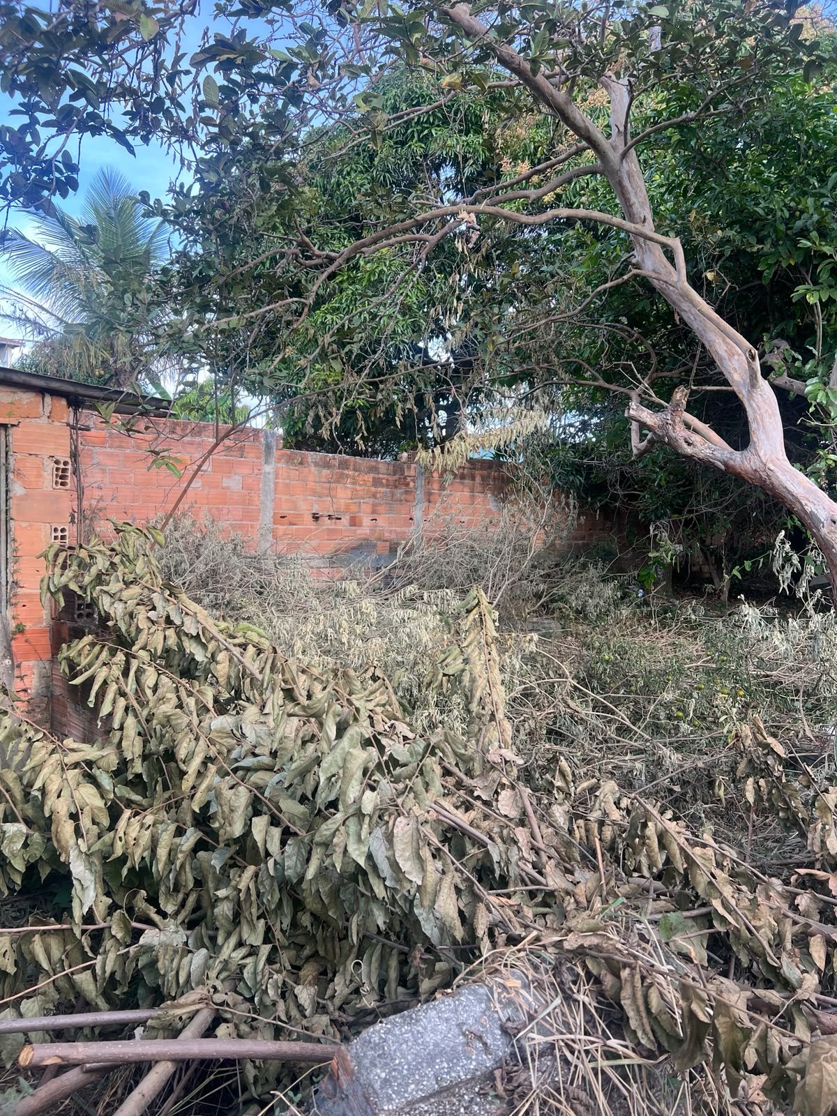 Lote Grande Plano Pronto para Construir — foto 6