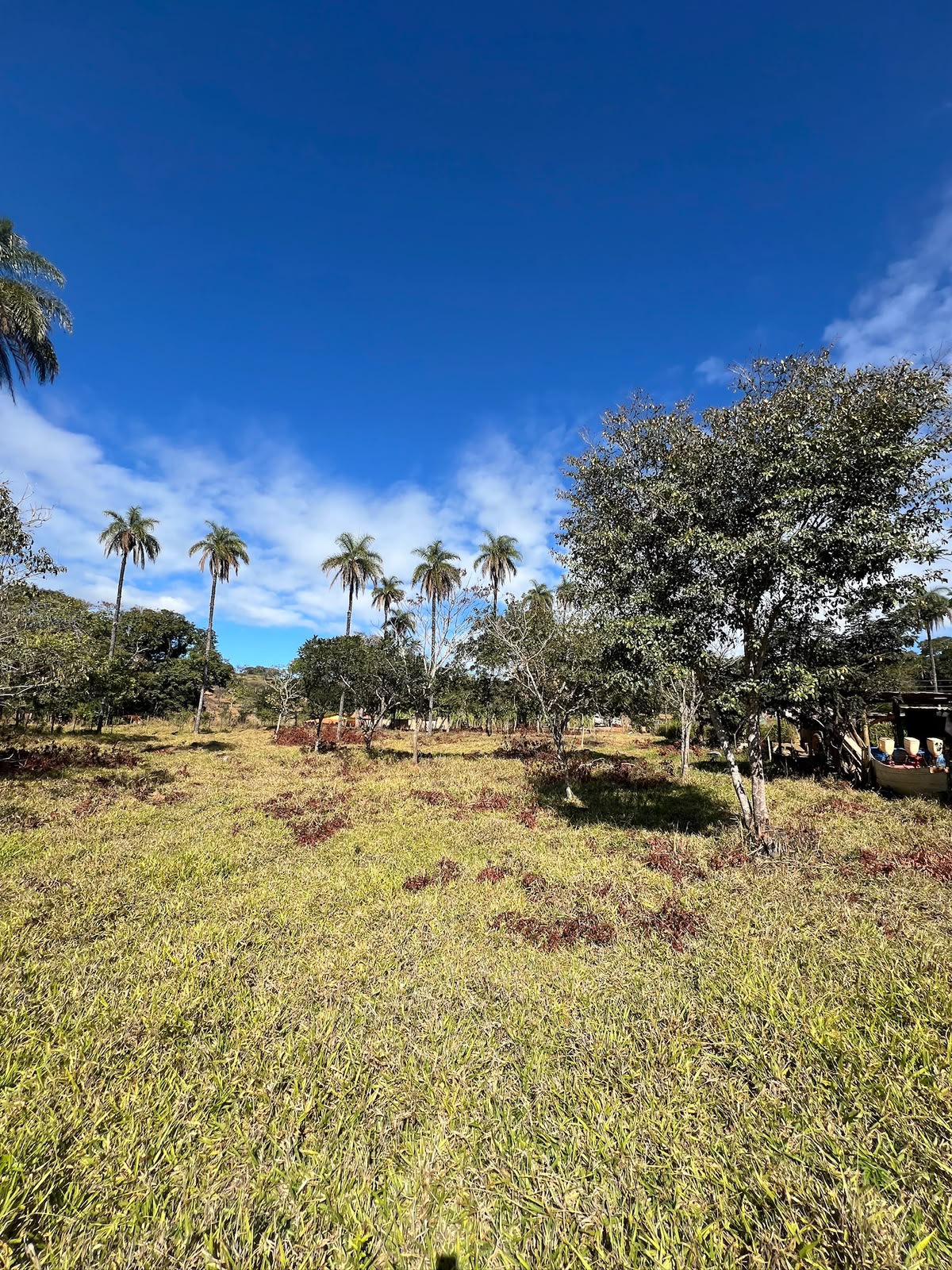 Terreno Rural de 5.000m² à Venda em Jaboticatubas | Excelente Topografia e Fácil Acesso — foto 7