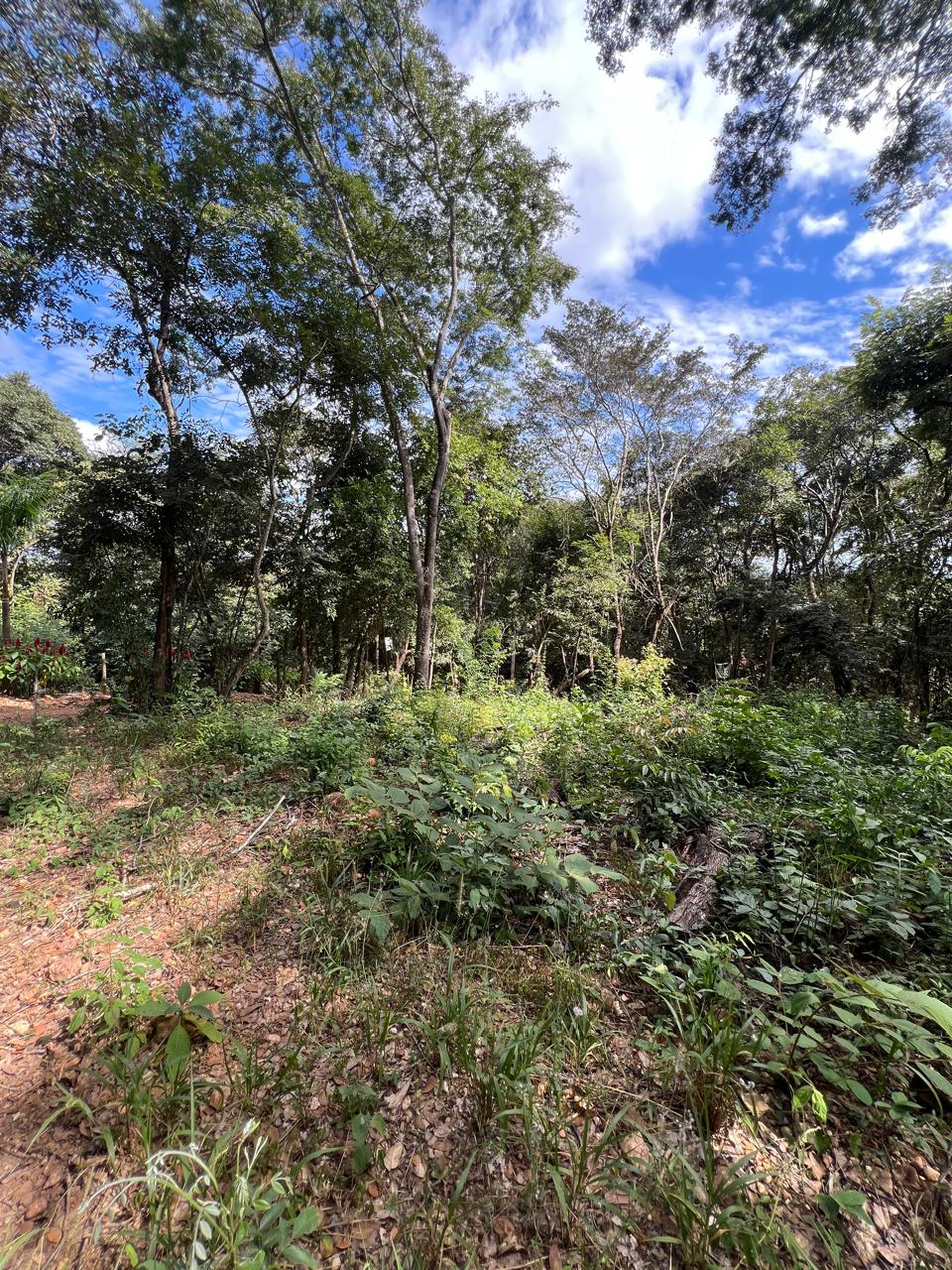 Chácara de 1.150m² à Venda em Boa Vista, Jaboticatubas MG | Terreno de Esquina — foto 2