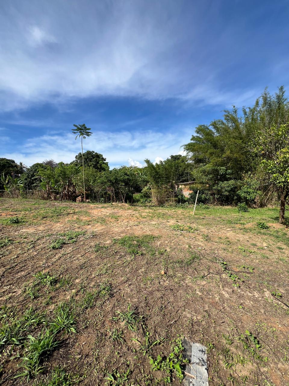 Lote de 320m² na Rua Principal do Barreiro do Amaral — foto 4