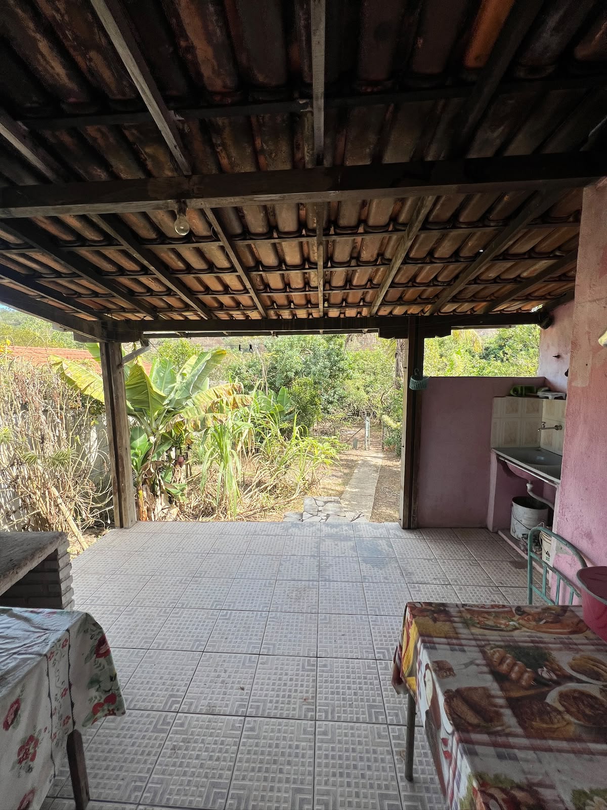 Chácara com Casa Ampla e Pomar Formado — foto 8