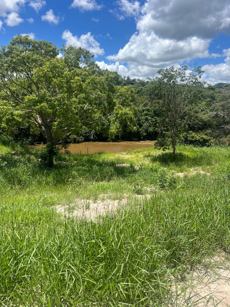 Terreno de 5.000m² com Fundo para o Rio Taquaraçu a Apenas 2 km do Centro | Rio do Peixe – Taquaraçu de Minas | R$ 297.000 — foto 5
