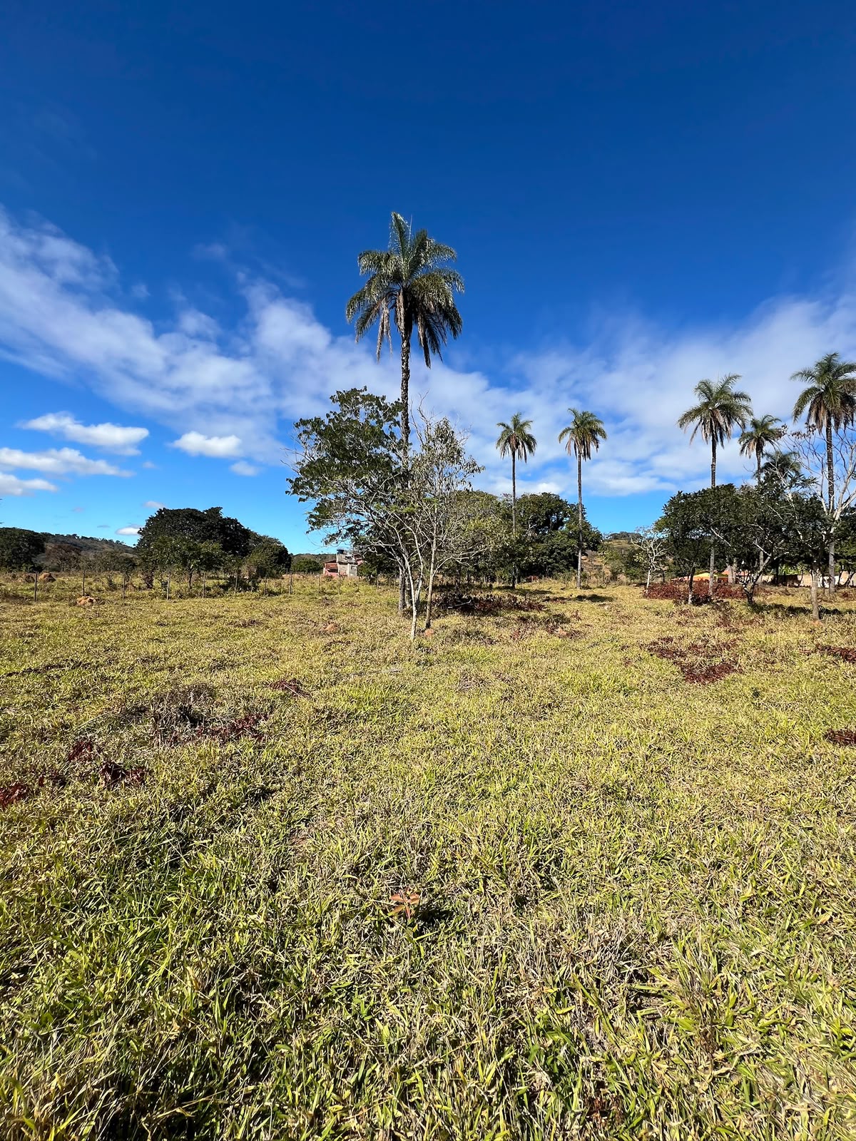 Terreno Rural de 5.000m² à Venda em Jaboticatubas | Excelente Topografia e Fácil Acesso — foto 5