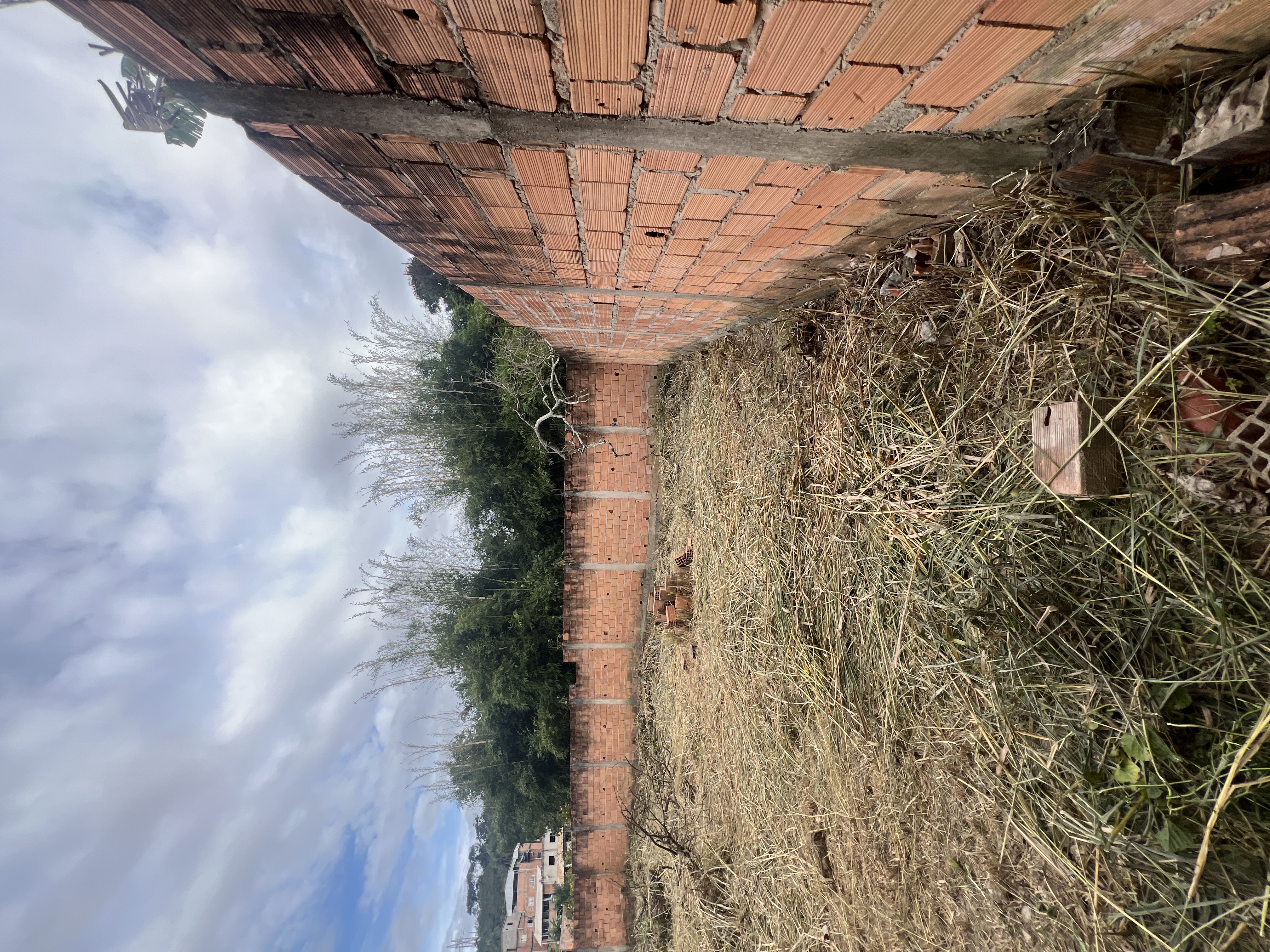 Lote Plano no Bom Jesus — foto 6