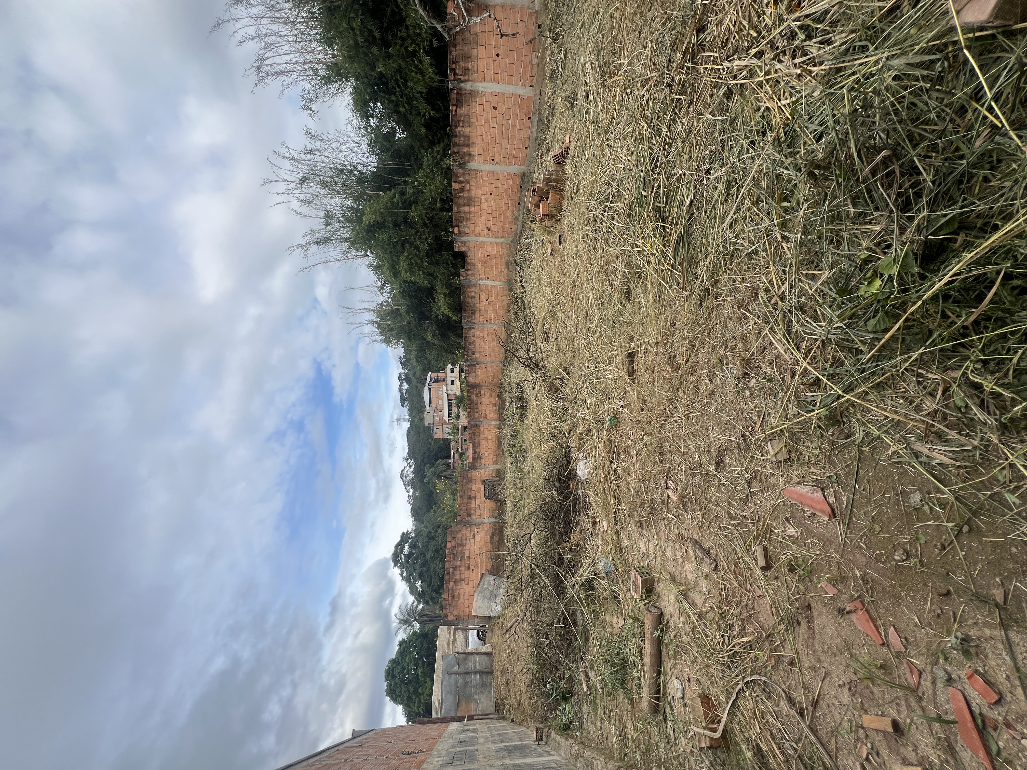 Lote Plano no Bom Jesus — foto 5