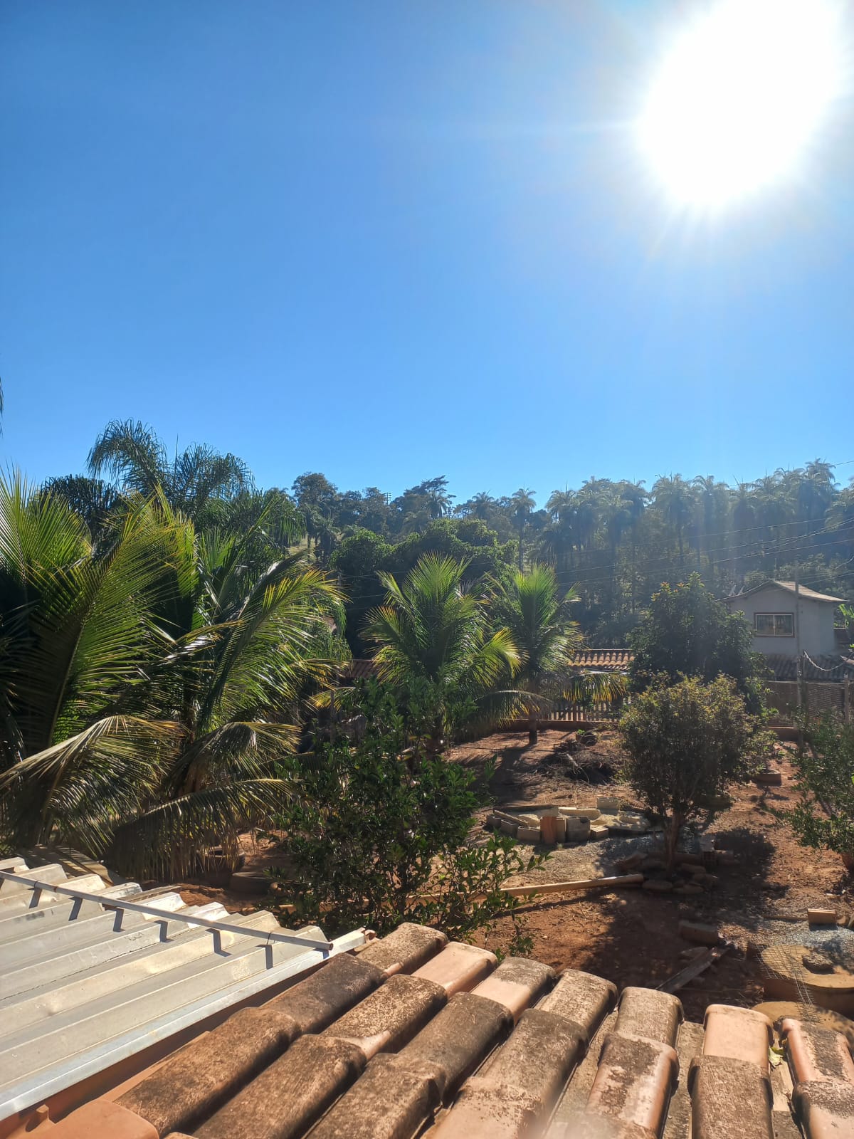 Sítio com Nascente e Piscina — foto 4