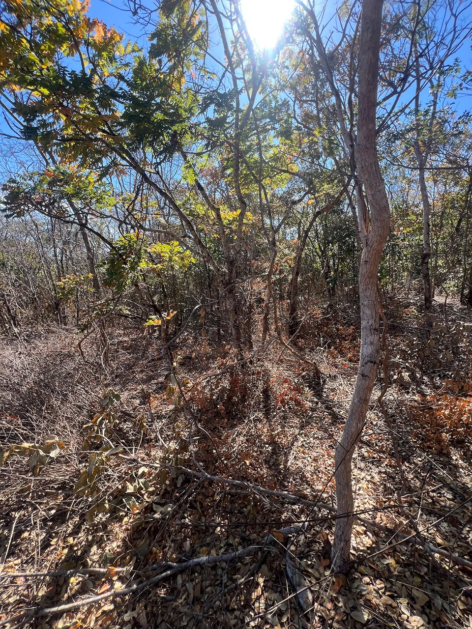 Chácaras Urbanas com Matrícula Individualizada em Taquaraçu de Minas | A partir de R$ 167 mil — foto 1