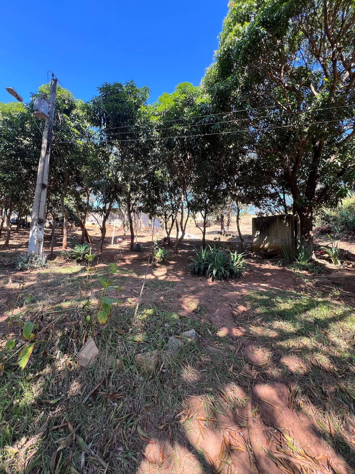 Chácara com 1.700m², Lagoa de Nascente e Vista Definitiva na Comunidade Rural de Água Limpa – Santa Luzia | R$ 380.000 — foto 4