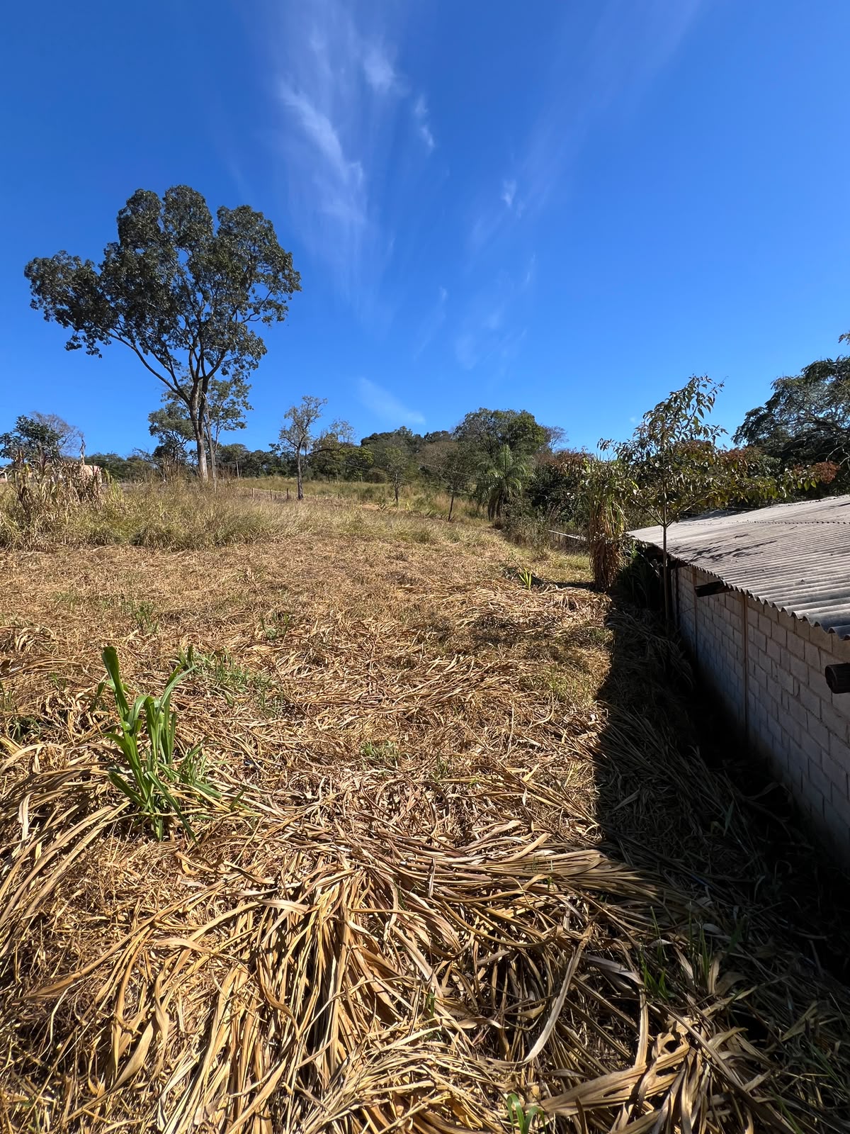 Terreno Rural de 1500 com Galpão em Santa Luzia — foto 2