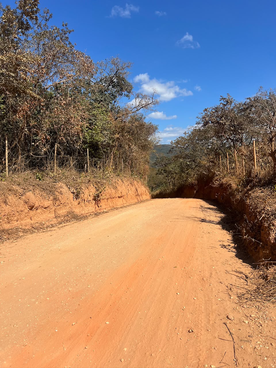 Chácaras Urbanas com Matrícula Individualizada em Taquaraçu de Minas | A partir de R$ 167 mil — foto 10