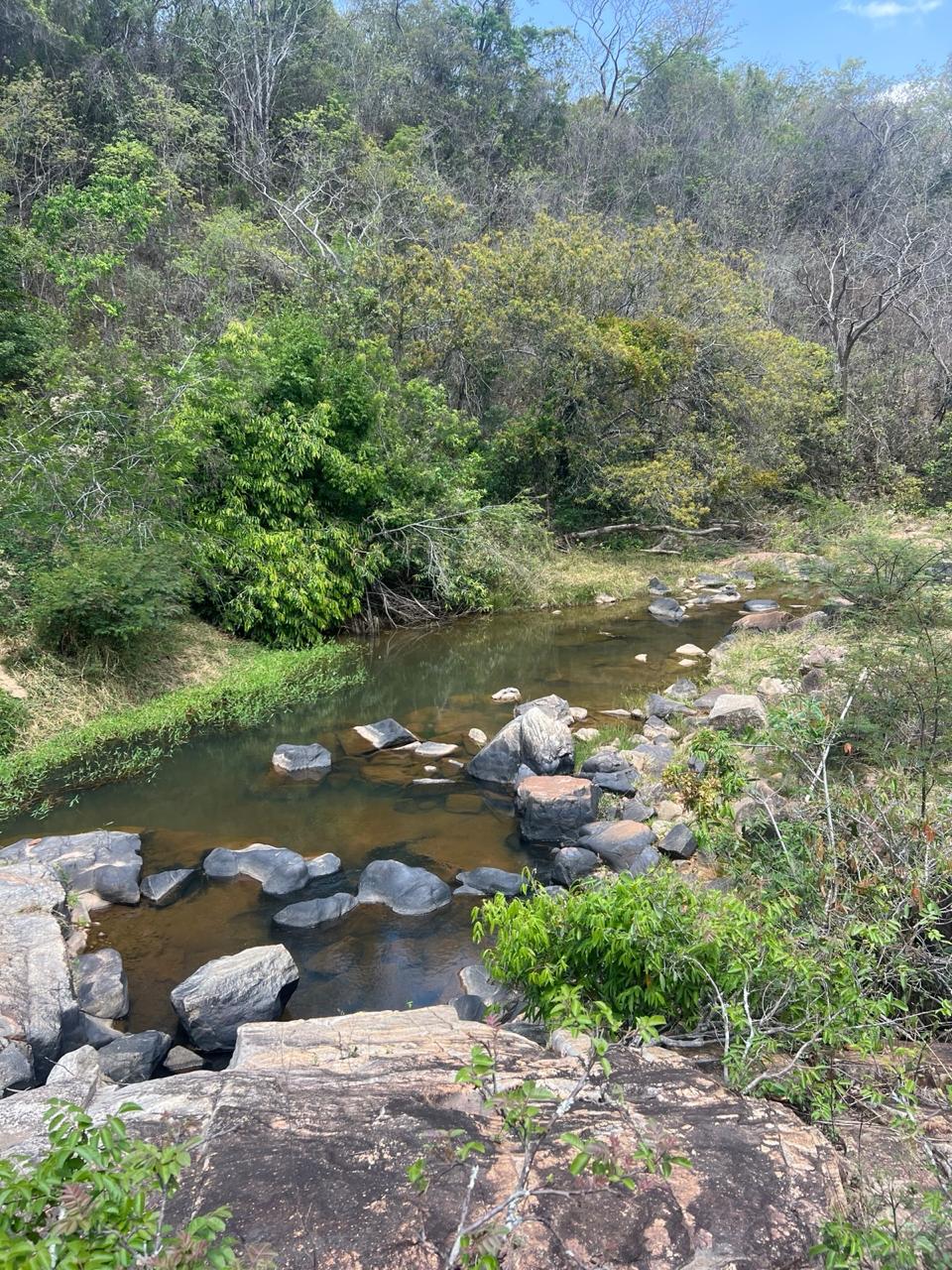 Área Rural de 40.000m² com Córrego — foto 12