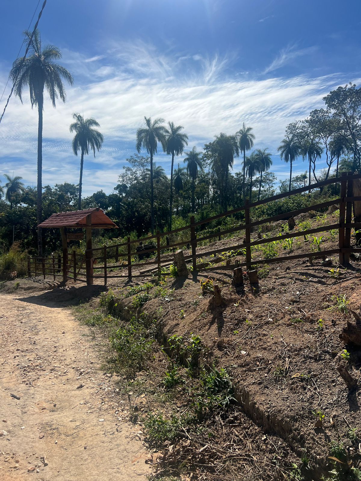 Chácaras de 4.600m² e 5.000m² próximo do córrego — foto 9