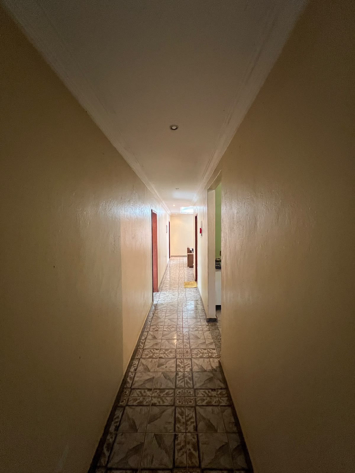 Chácara com Casa Ampla e Pomar Formado — foto 5