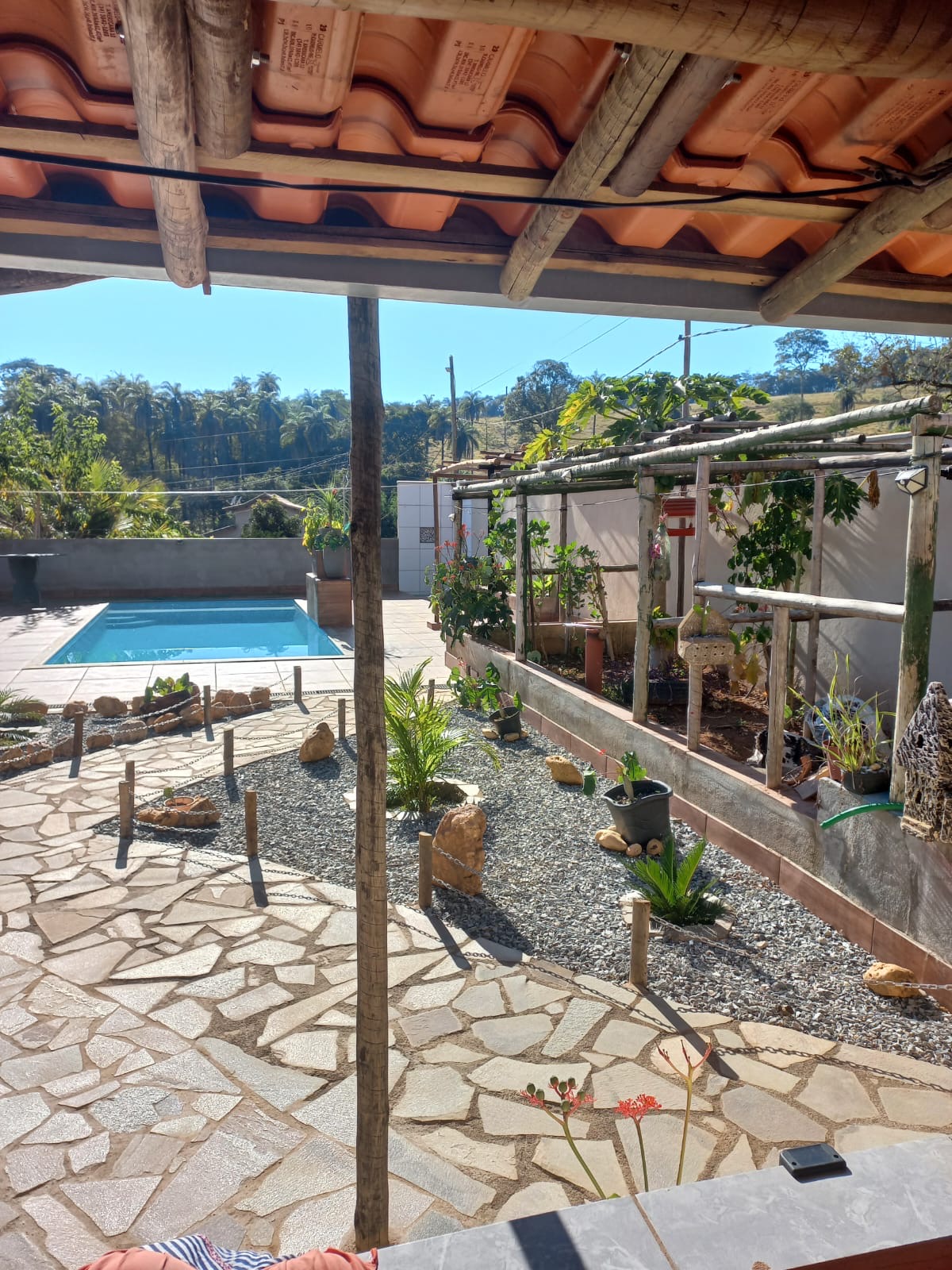 Sítio com Nascente e Piscina — foto 6
