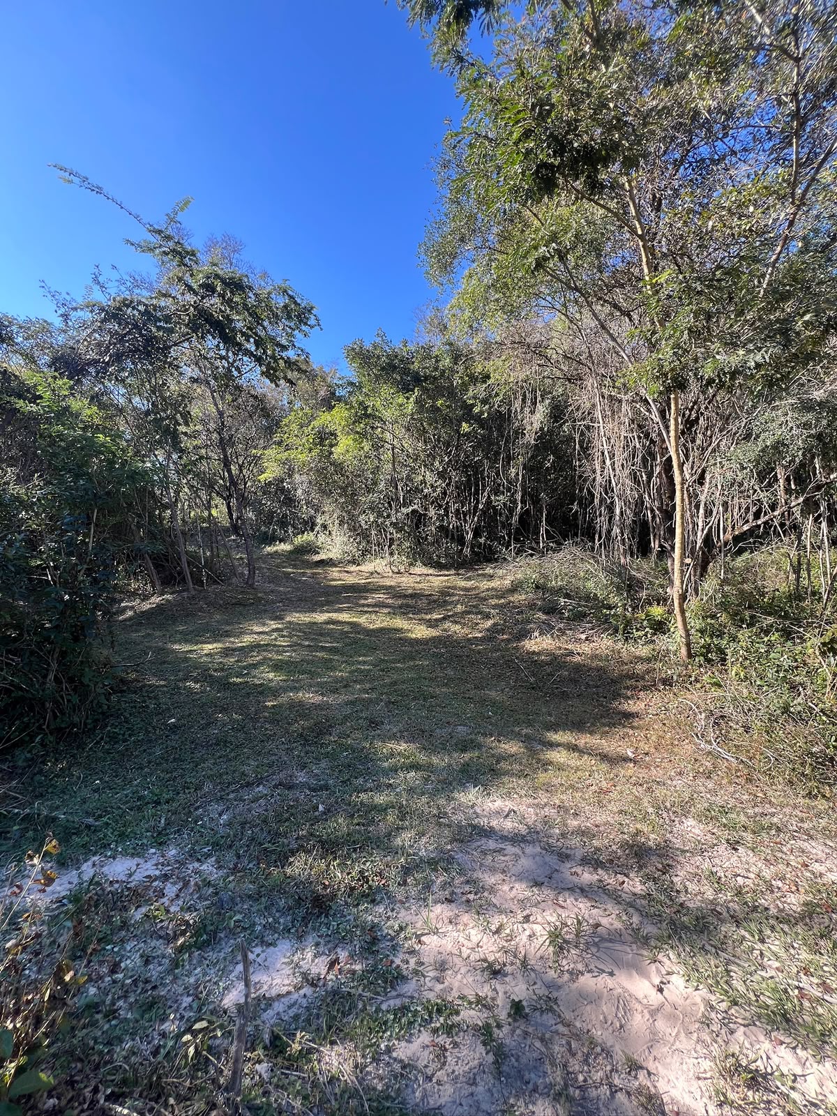 Chácaras a Partir de 3.000m² à Venda em Taquaraçu de Minas | Córrego nos Fundos e Entrada Facilitada — foto 4