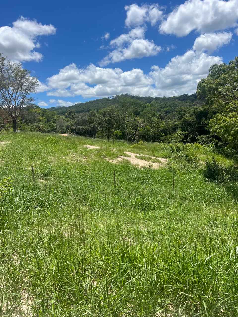 Terreno de 5.000m² com Fundo para o Rio Taquaraçu a Apenas 2 km do Centro | Rio do Peixe – Taquaraçu de Minas | R$ 297.000 — foto 4