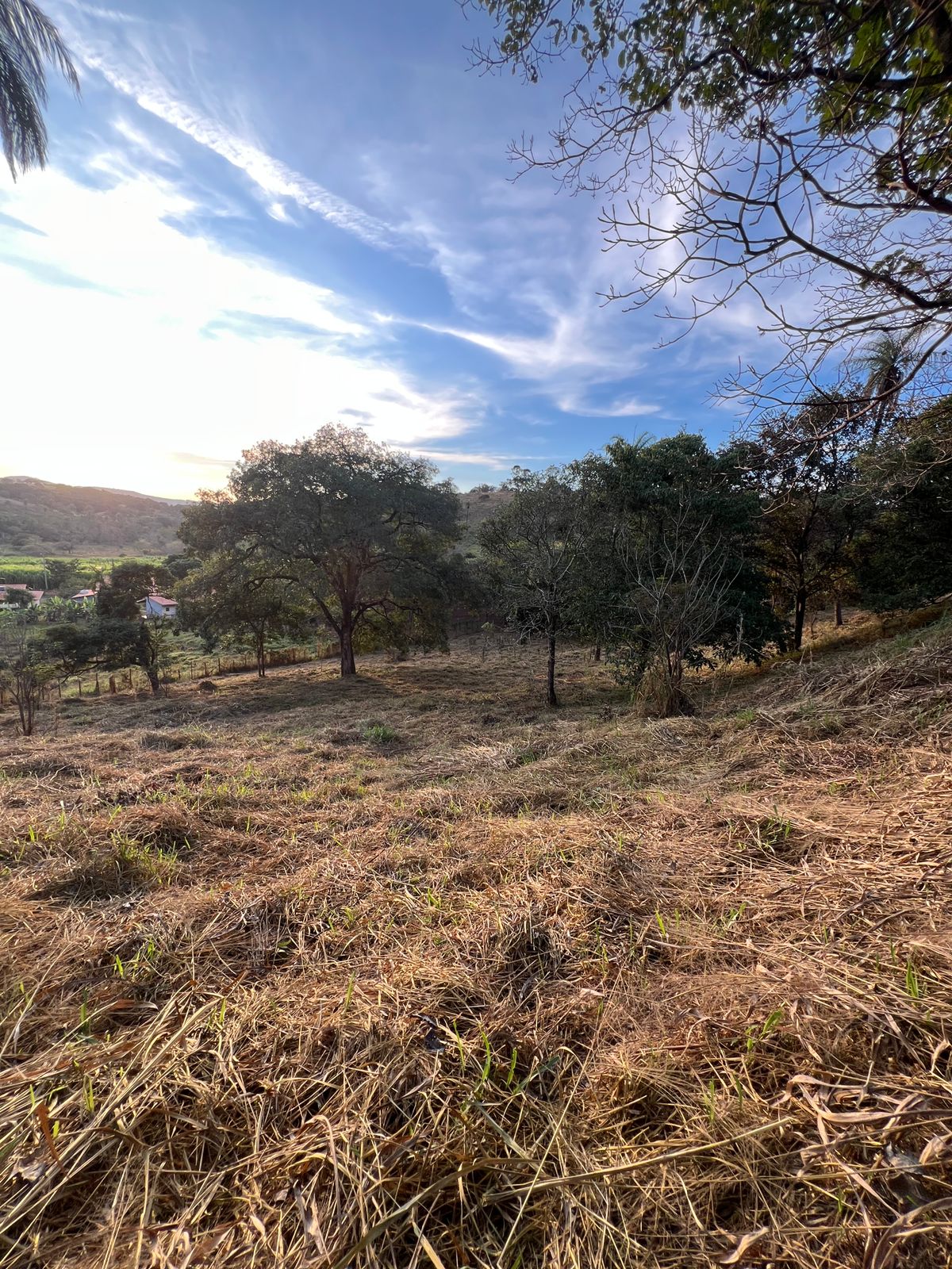 Terreno as Margens da MG-020 — foto 3