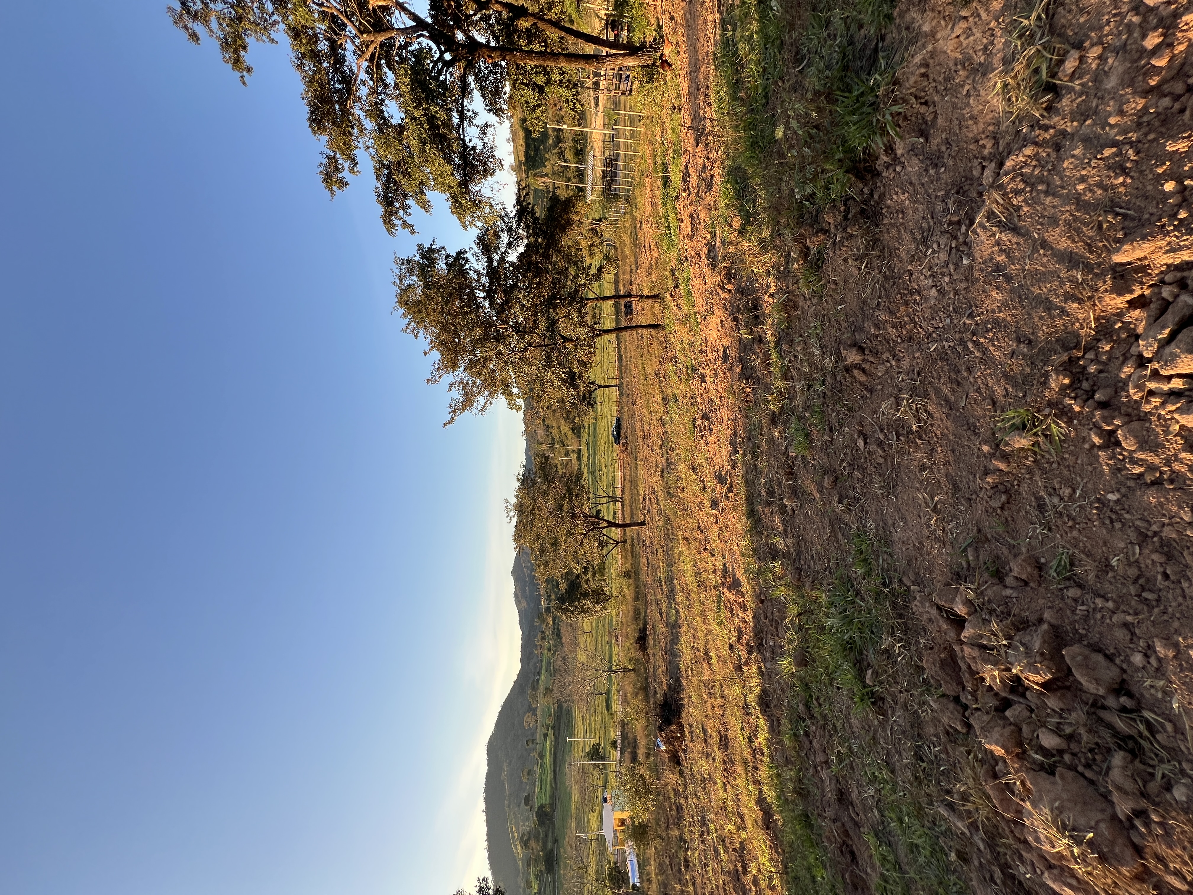 Terreno de 10.000m² Próximo à Rodovia — foto 2