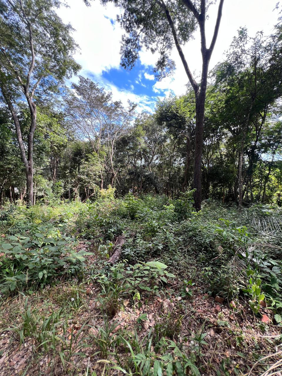 Chácara de 1.150m² à Venda em Boa Vista, Jaboticatubas MG | Terreno de Esquina — foto 4