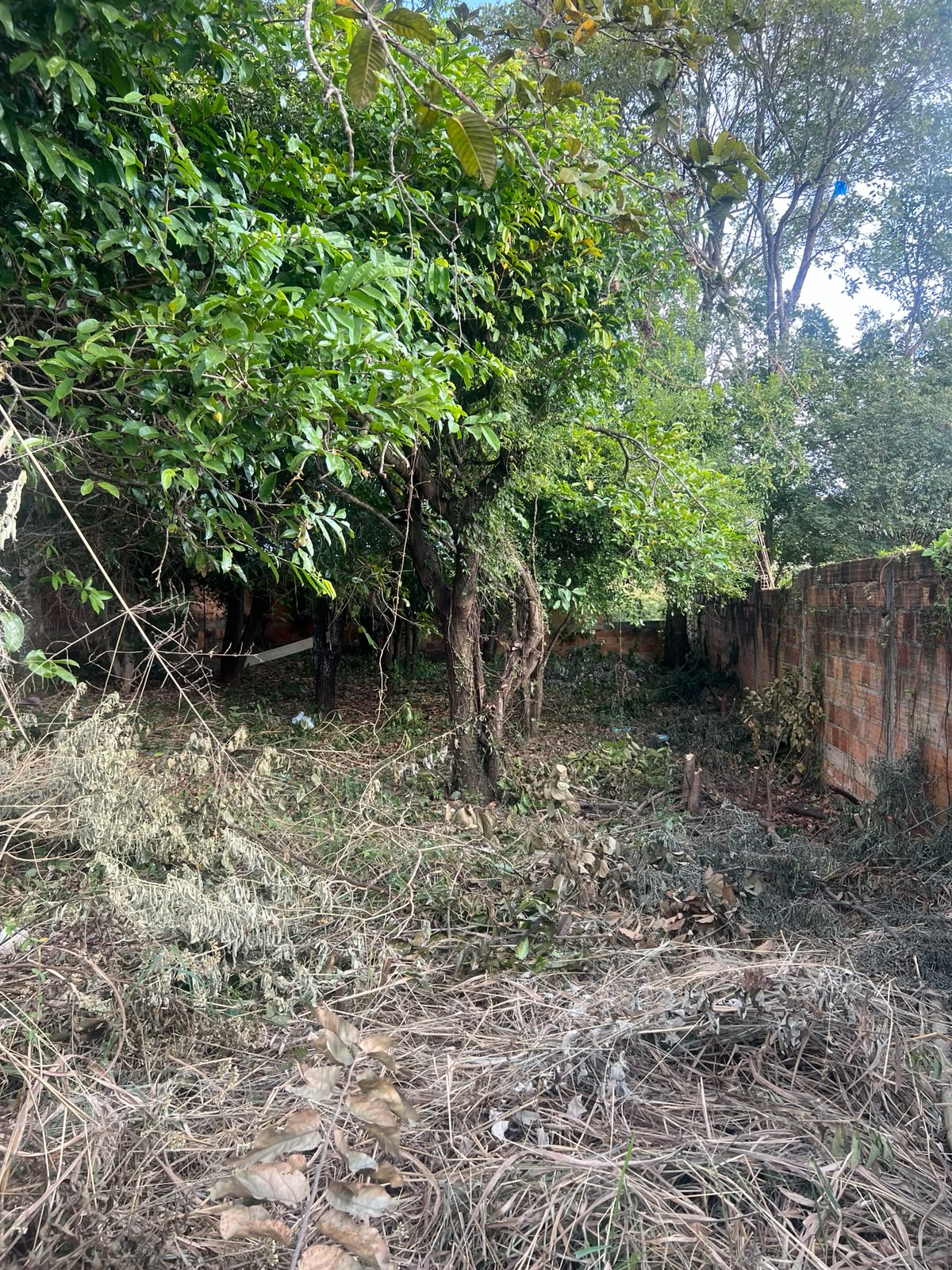 Lote Grande Plano Pronto para Construir — foto 5