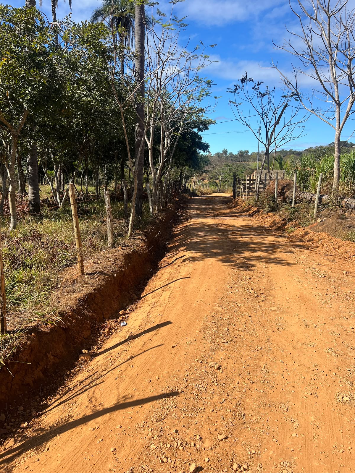 Terreno Rural de 5.000m² à Venda em Jaboticatubas | Excelente Topografia e Fácil Acesso — foto 3